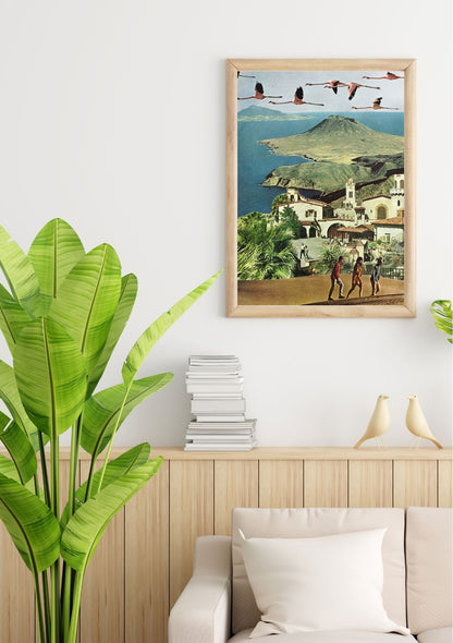 Where The Flamingos Fly