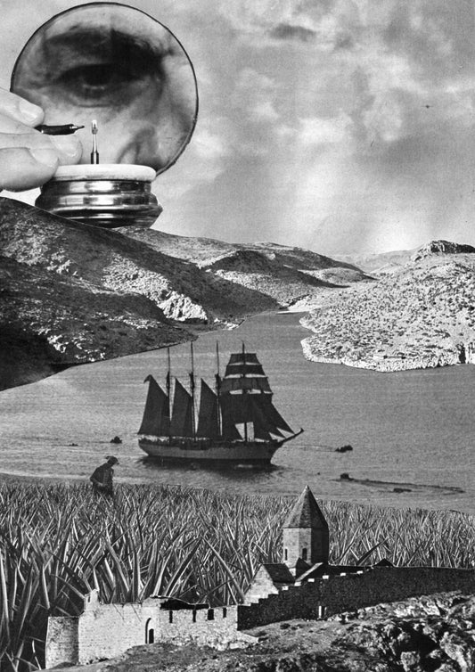 Voyage Of The Minds Eye