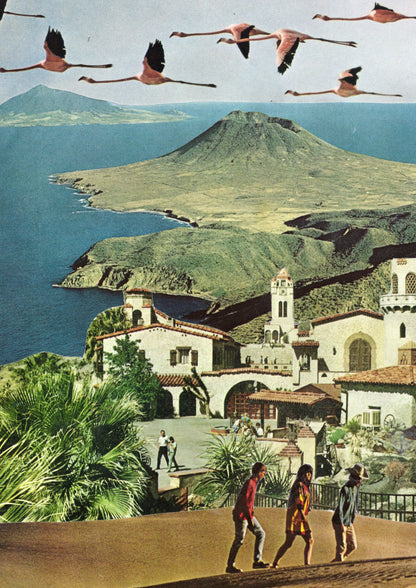 Where The Flamingos Fly