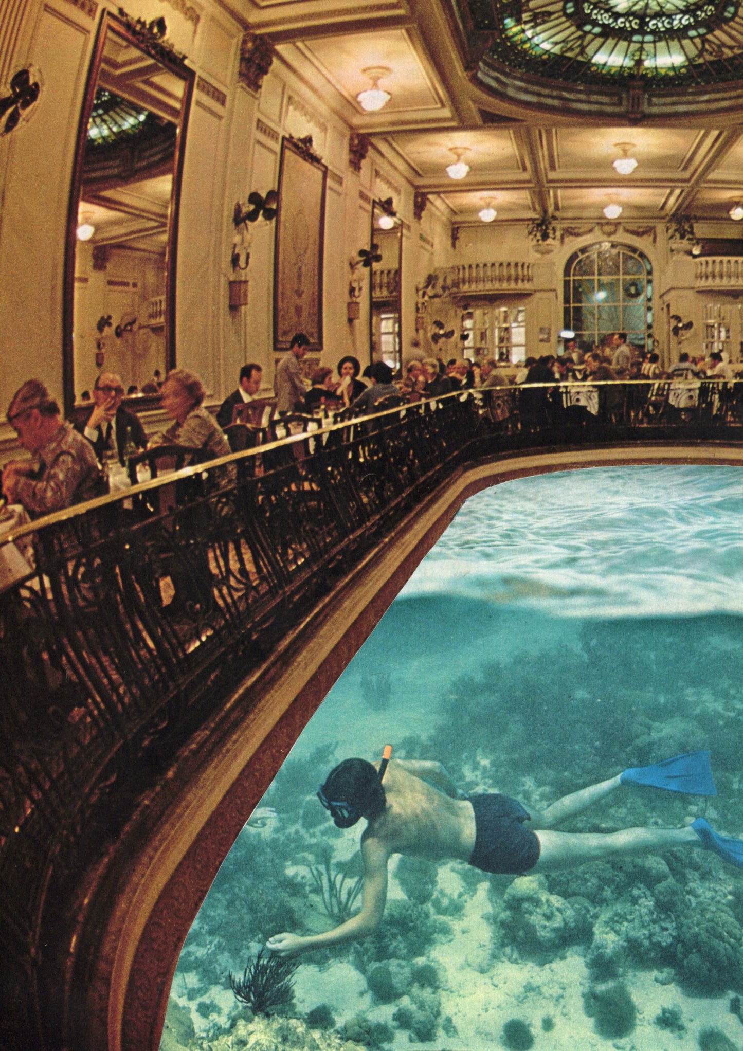 Wine And Dive