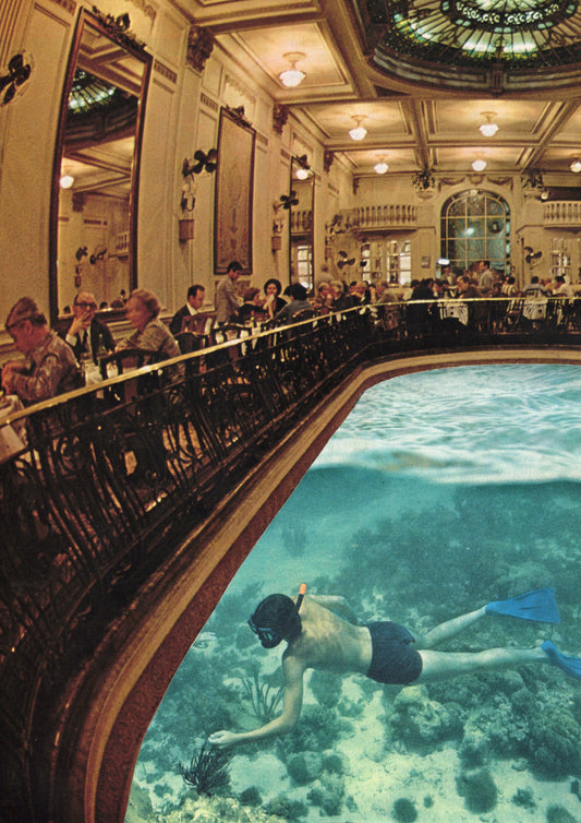 Wine And Dive